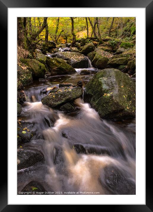Autumn's Cascade of Water through Padley Gorge  Framed Mounted Print by Roger Dutton