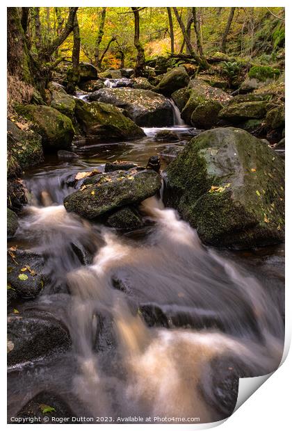 Autumn's Cascade of Water through Padley Gorge  Print by Roger Dutton