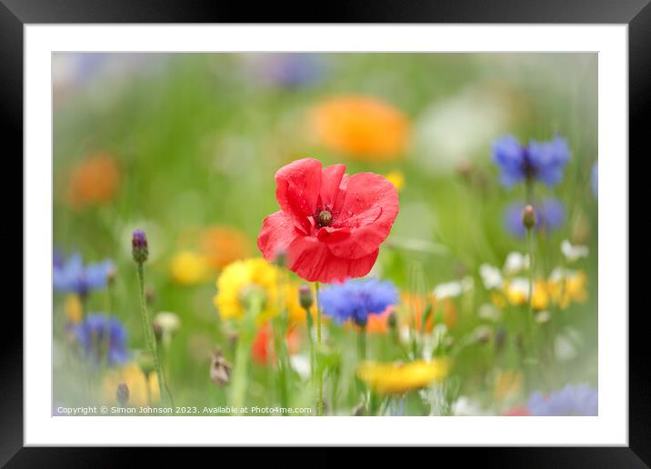 Plant flower Framed Mounted Print by Simon Johnson