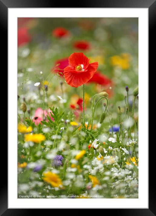 A close up of a flower Framed Mounted Print by Simon Johnson