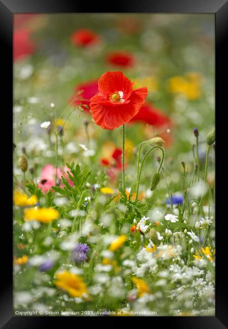 A close up of a flower Framed Print by Simon Johnson