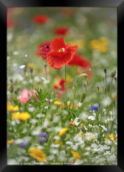 A close up of a flower Framed Print by Simon Johnson