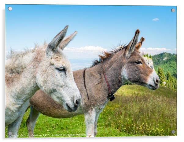 Two cute donkeys. Acrylic by Cristi Croitoru
