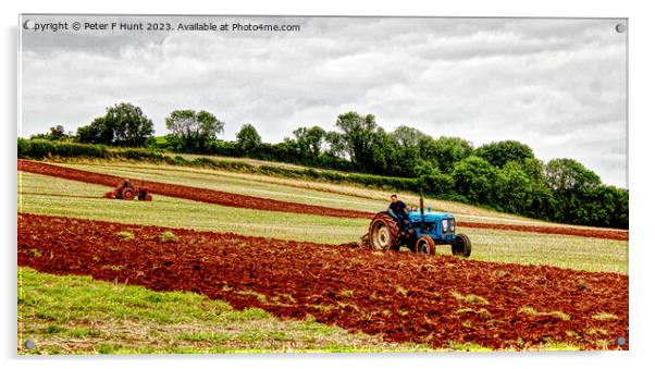 Ploughing The Red Soil Of Devon Acrylic by Peter F Hunt