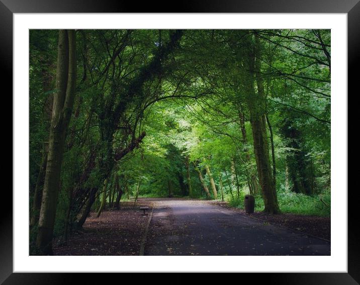 Woodland Road Framed Mounted Print by Victor Burnside