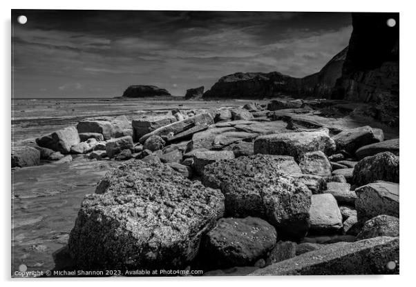 Boulders, Whitby East Beach, Black & White Acrylic by Michael Shannon