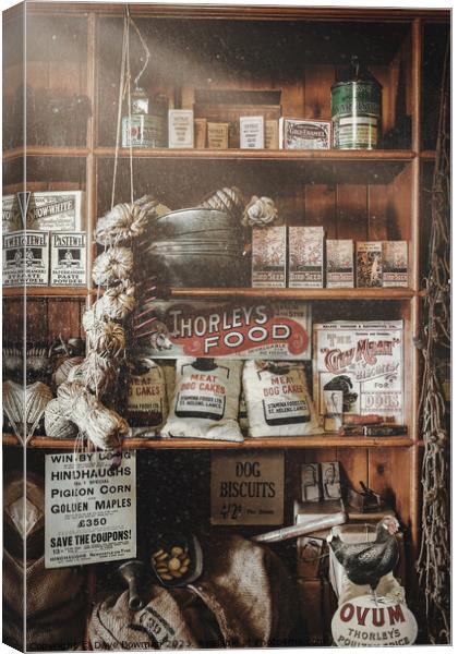 Vintage Store Canvas Print by Dave Bowman