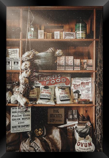 Vintage Store Framed Print by Dave Bowman