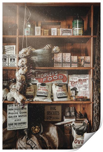 Vintage Store Print by Dave Bowman