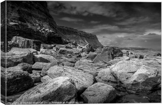 Boulders on Whitby East Beach Canvas Print by Michael Shannon