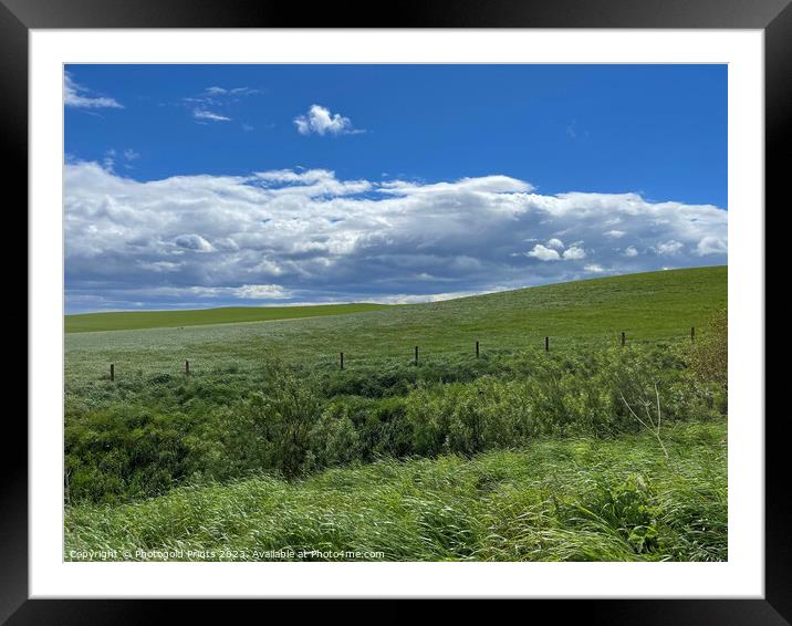 Farmland next to Dunnottar castle  Framed Mounted Print by Photogold Prints
