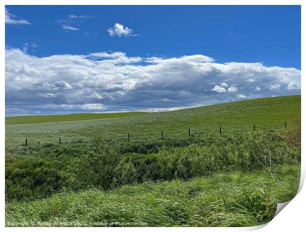 Farmland next to Dunnottar castle  Print by Photogold Prints