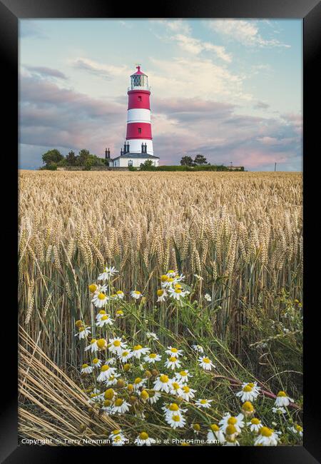 Happisburgh Lighthouse at Sunset Framed Print by Terry Newman