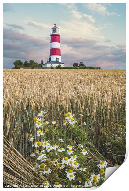 Happisburgh Lighthouse at Sunset Print by Terry Newman