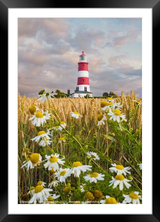 Sunset Colours at Happisburgh Lighthouse in Norfolk UK Framed Mounted Print by Terry Newman