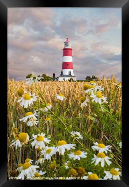 Sunset Colours at Happisburgh Lighthouse in Norfolk UK Framed Print by Terry Newman