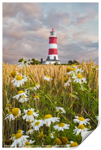 Sunset Colours at Happisburgh Lighthouse in Norfolk UK Print by Terry Newman