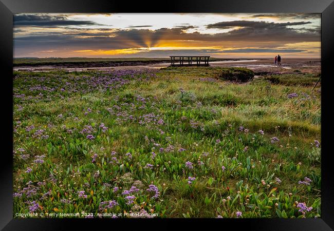 Admiring the View Framed Print by Terry Newman