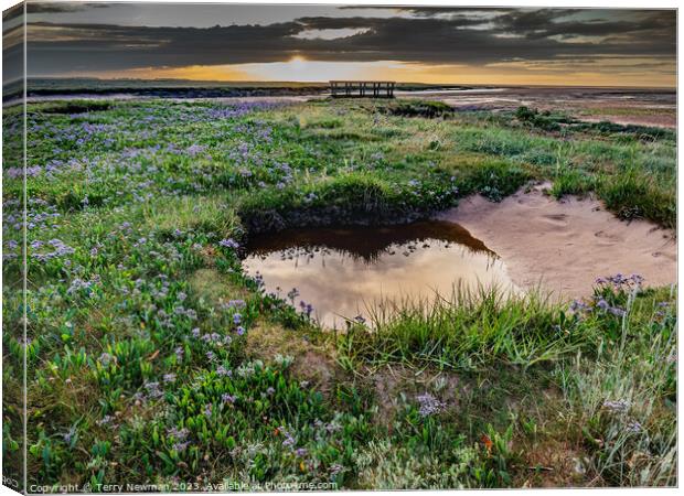 Relections and Sea Lavender at Stiffkey Saltmarshes Canvas Print by Terry Newman