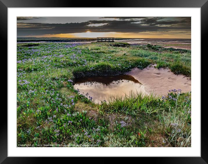 Relections and Sea Lavender at Stiffkey Saltmarshes Framed Mounted Print by Terry Newman