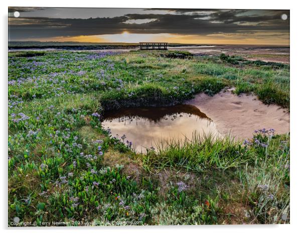 Relections and Sea Lavender at Stiffkey Saltmarshes Acrylic by Terry Newman