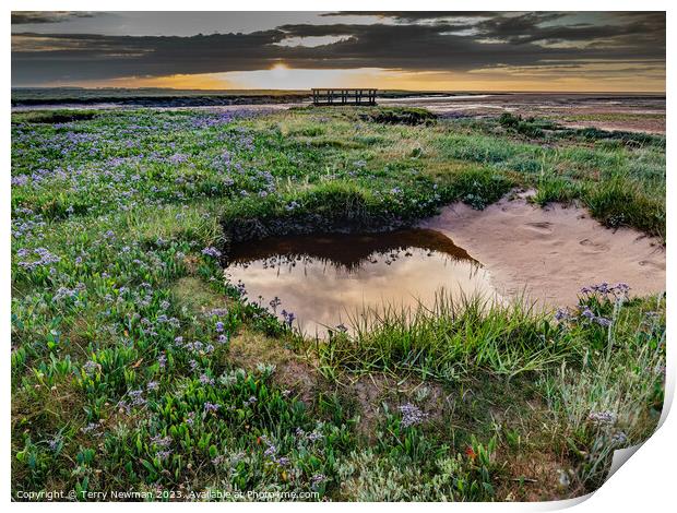Relections and Sea Lavender at Stiffkey Saltmarshes Print by Terry Newman