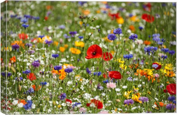Poppy  and wild flower field Canvas Print by Simon Johnson