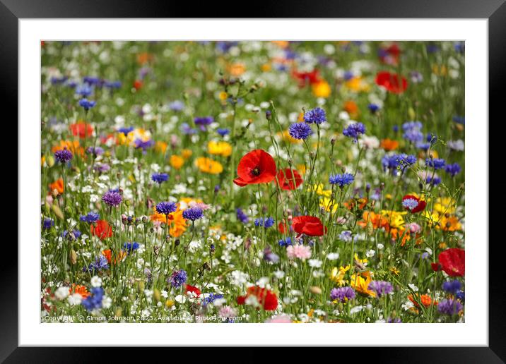 Poppy  and wild flower field Framed Mounted Print by Simon Johnson
