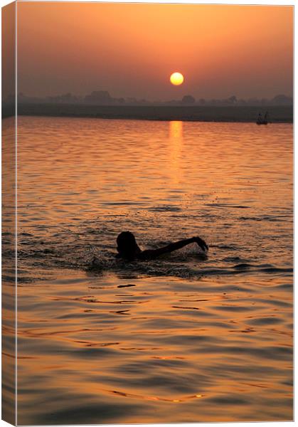 Swimming in the Ganges at Sunrise Canvas Print by Serena Bowles