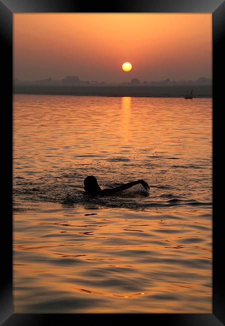 Swimming in the Ganges at Sunrise Framed Print by Serena Bowles