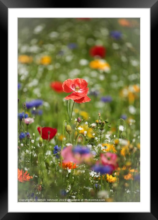 poppy and wild flowers Framed Mounted Print by Simon Johnson