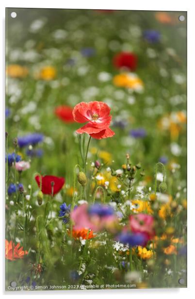 poppy and wild flowers Acrylic by Simon Johnson
