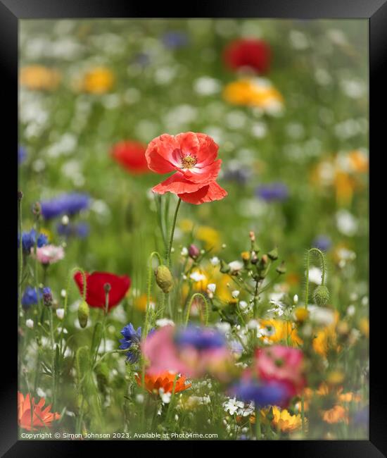 Poppy and wild flowers Framed Print by Simon Johnson