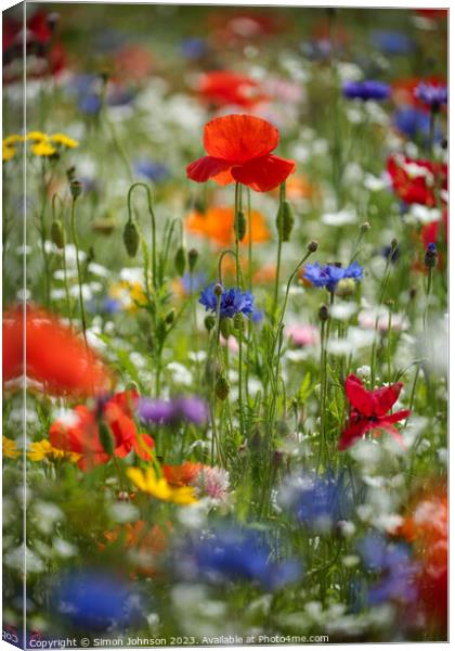 Vibrant Splendour Revealed: Microcosmic Floral Stu Canvas Print by Simon Johnson