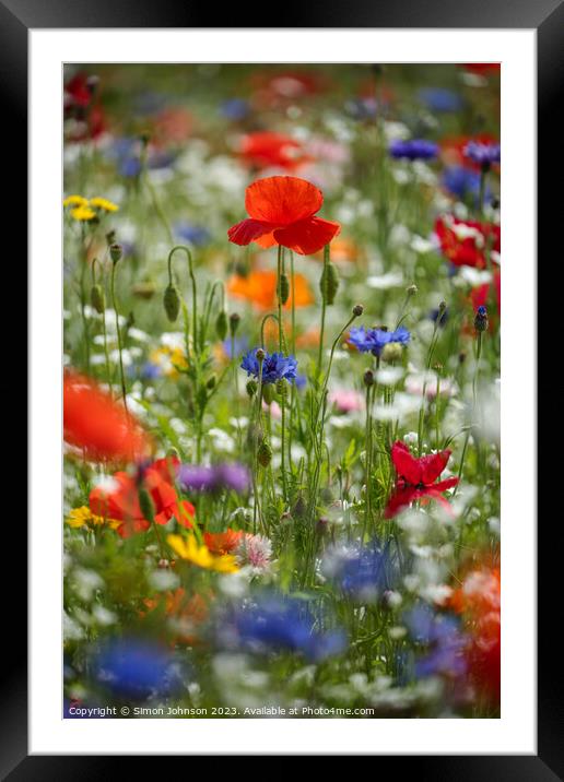 Vibrant Splendour Revealed: Microcosmic Floral Stu Framed Mounted Print by Simon Johnson