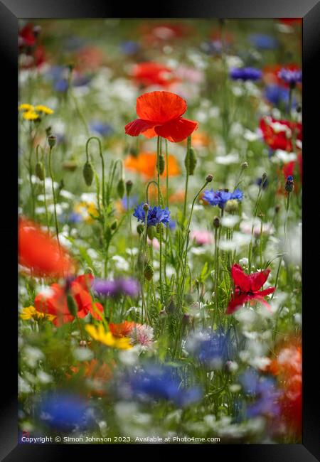 Vibrant Splendour Revealed: Microcosmic Floral Stu Framed Print by Simon Johnson