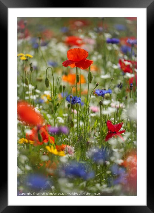 poppies and wild flowers Framed Mounted Print by Simon Johnson