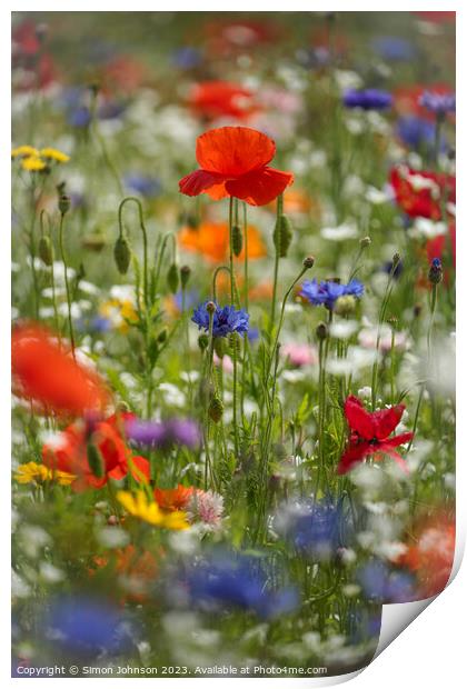 poppies and wild flowers Print by Simon Johnson