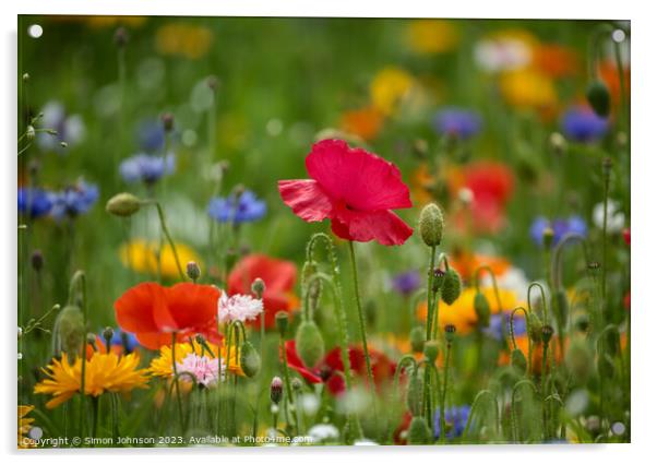 Outdoor field Acrylic by Simon Johnson