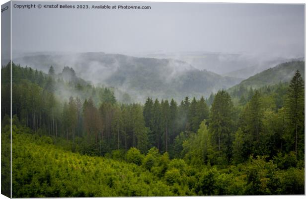 View on the rainy and foggy Ardennes forest in Wallonia Canvas Print by Kristof Bellens