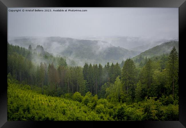 View on the rainy and foggy Ardennes forest in Wallonia Framed Print by Kristof Bellens