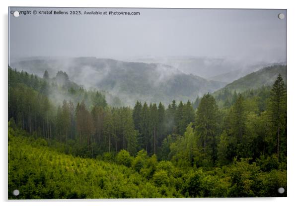 View on the rainy and foggy Ardennes forest in Wallonia Acrylic by Kristof Bellens