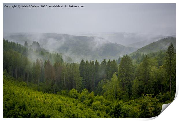 View on the rainy and foggy Ardennes forest in Wallonia Print by Kristof Bellens