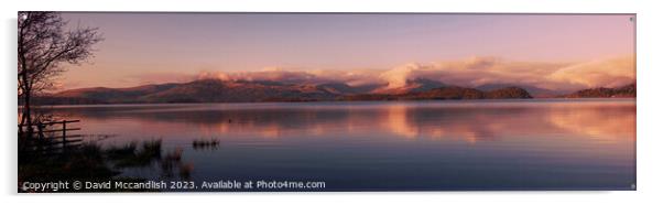 Serene Loch Lomond Panorama Acrylic by David Mccandlish