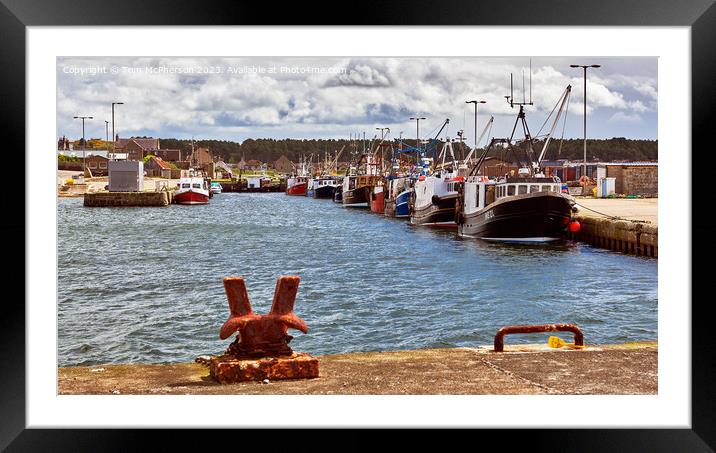 Burghead Harbour's Vibrant Maritime Life Framed Mounted Print by Tom McPherson