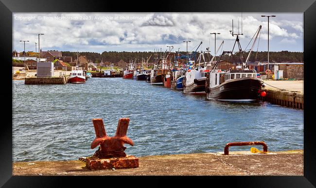 Burghead Harbour's Vibrant Maritime Life Framed Print by Tom McPherson