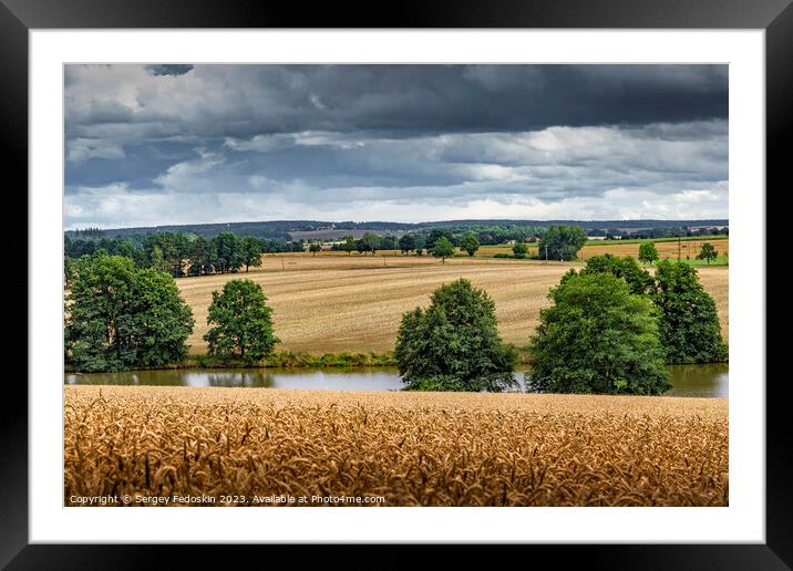 Dramatic sky over a golden wheat fields. Framed Mounted Print by Sergey Fedoskin