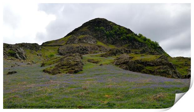Bluebells in Rannerdale Valley on the slope of Ran Print by Peter Wiseman