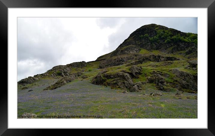 Bluebells in Rannerdale Valley on the slope of Ran Framed Mounted Print by Peter Wiseman