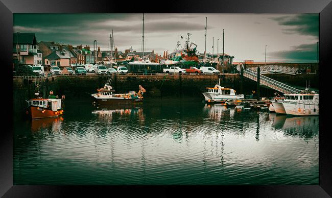 Fishing Boats in Arbroath Harbour Scotland Framed Print by DAVID FRANCIS